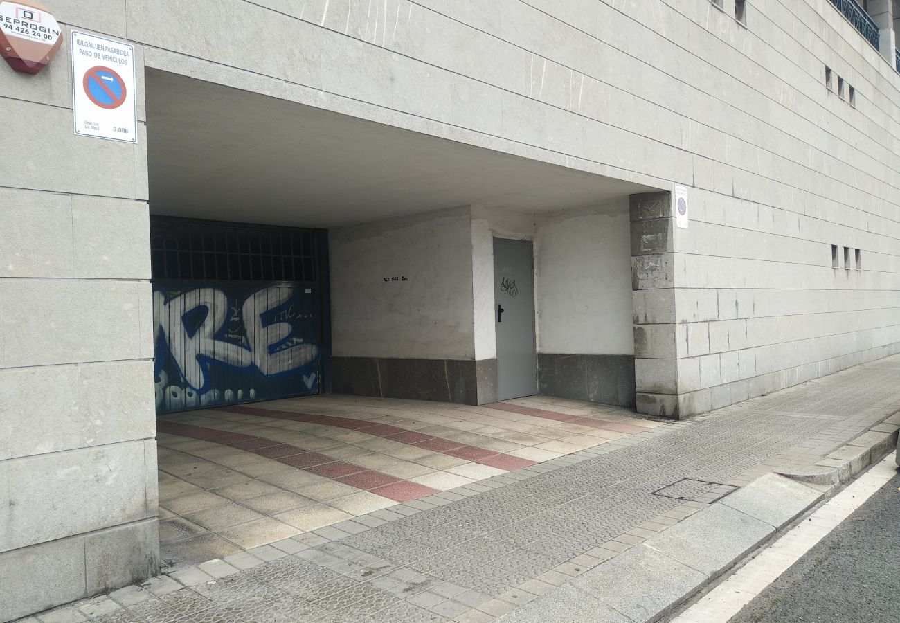Apartamento en Bilbao - SANI Apartamento en Bilbao - SANI