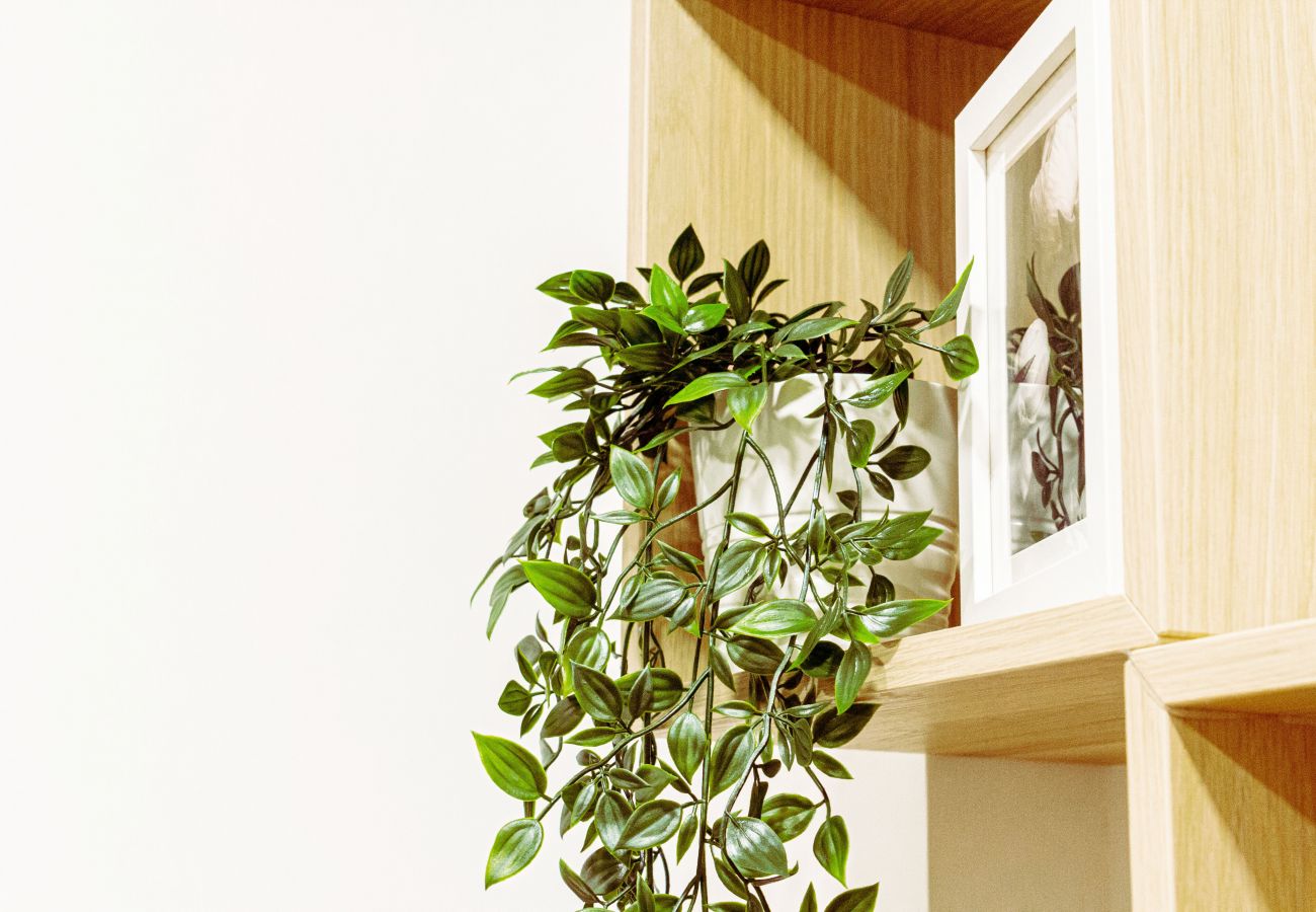 Apartamento en Bilbao - DOLARETXE Apartamento en Bilbao - DOLARETXE