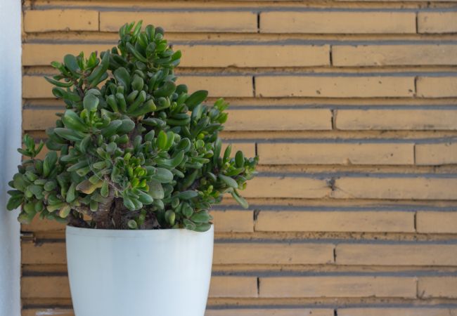 Apartamento en Bilbao - HORIA Apartamento en Bilbao - HORIA